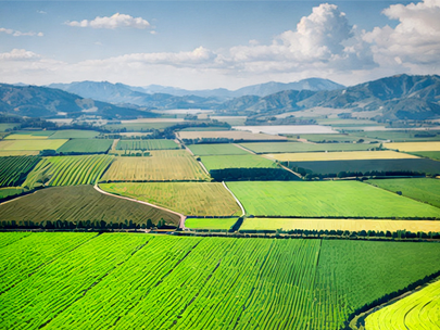基于數字孿生灌區的模型