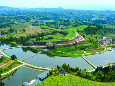 政策解讀丨2025中央一號文件中，涉及的水利內(nèi)容有哪些？